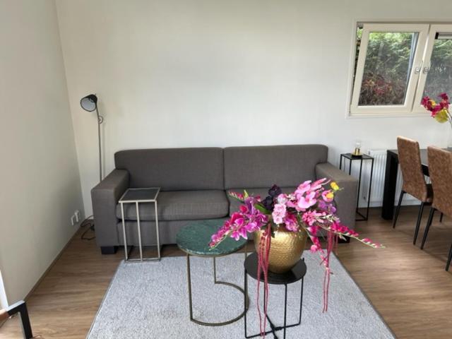 Luxe Vakantievilla In Voorthuizen Extérieur photo